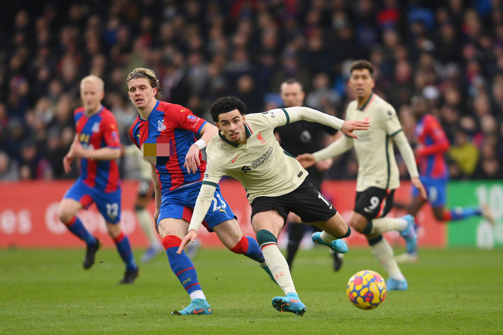 主教练在下 主教练在下