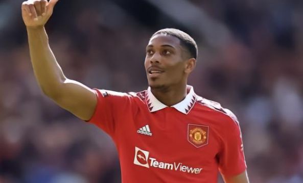 当年引进的 当年引进的